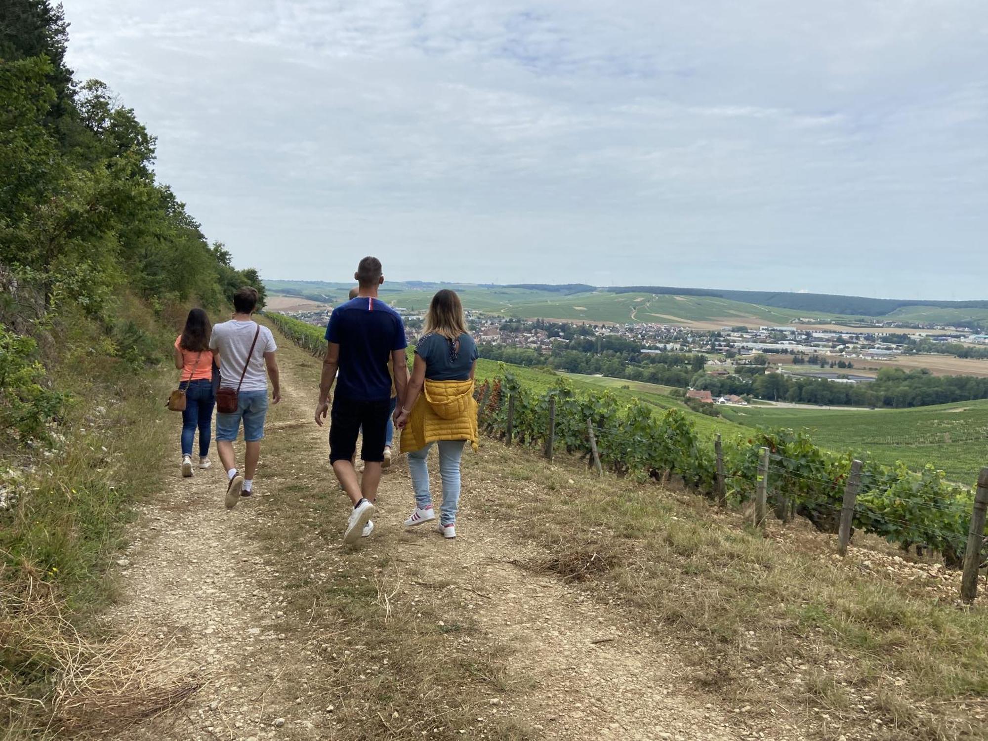 Les Suites Gueguen Chablis Exteriör bild